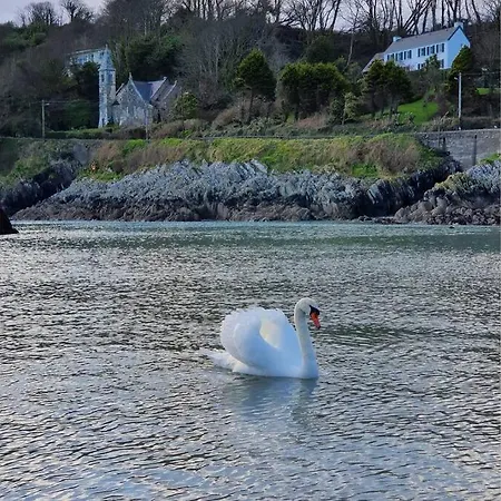 Appartement Thewaterline_glandore Seaside House In A Dream Location In West Cork